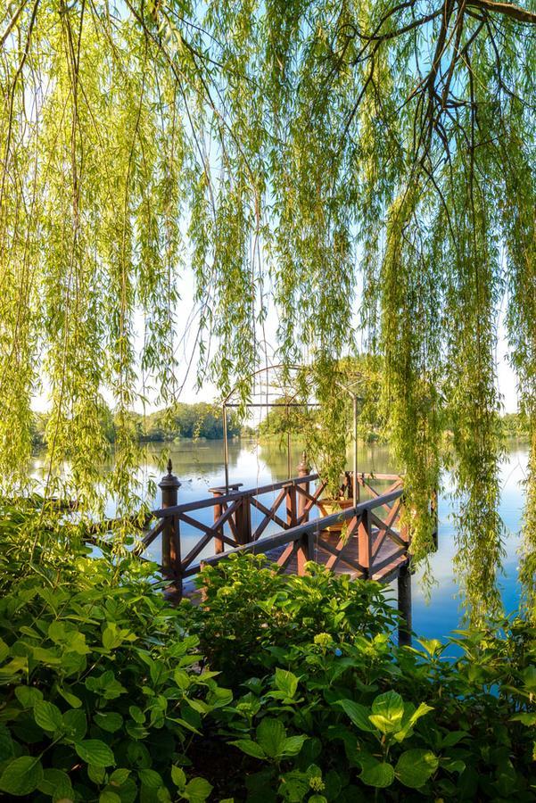 Villa Barbaro Gianese Silea Екстер'єр фото